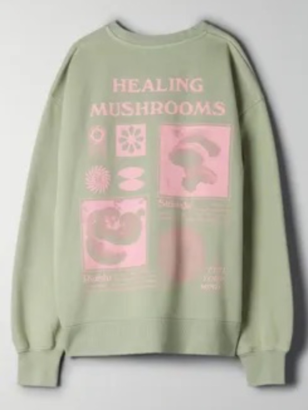 Aritzia Healing Mushroom Sweater